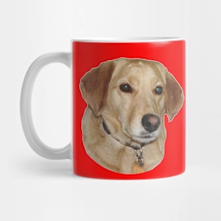 I love mix dogs Mug